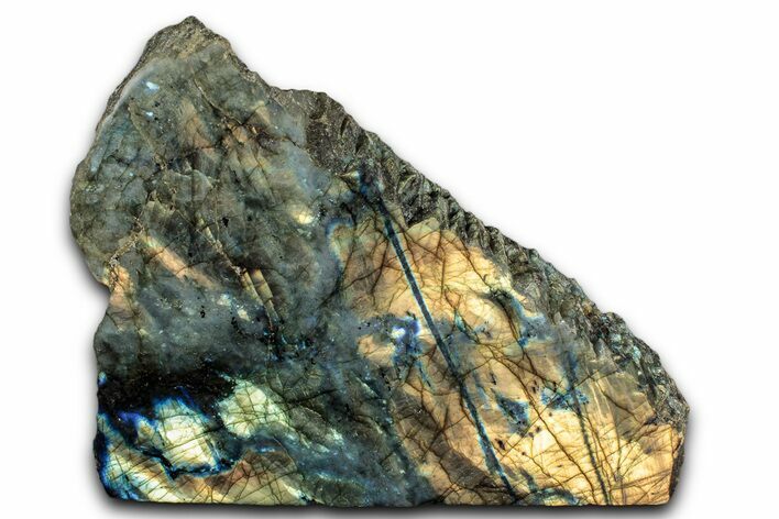 Single Side Polished Labradorite - Madagascar #337283